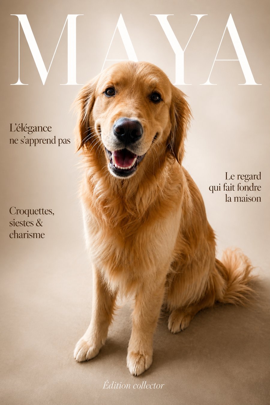 Style Une de magazine