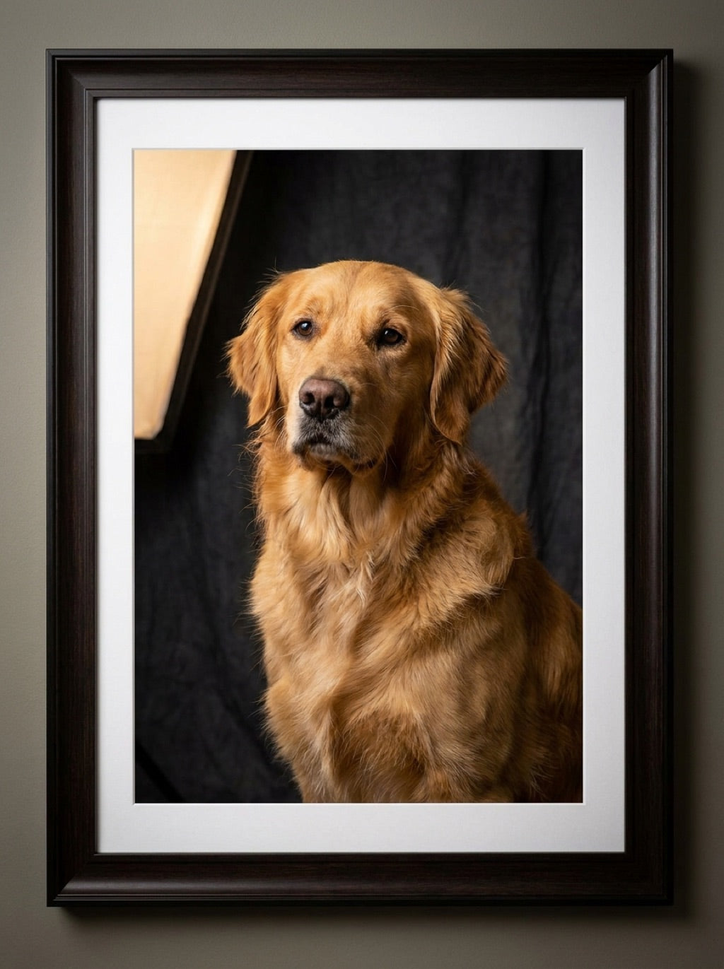 Portrait de chien style studio, tirage fine art